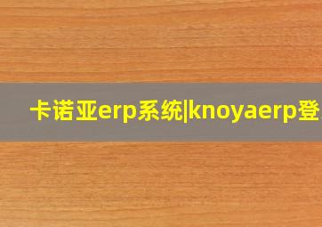 卡诺亚erp系统|knoyaerp登录